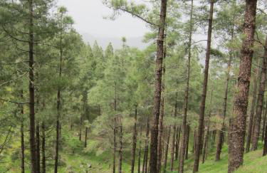 Villa Deluxe Suites Maspalomas - Photo 76