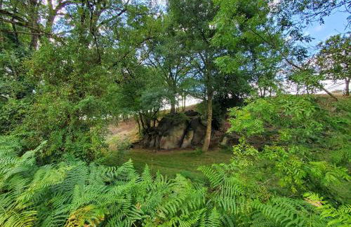 Gîte à SAINT ANDRE DE LA MARCHE proche du Puy du foù - Photo 12