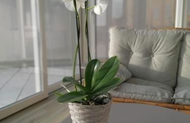 La magia delle Langhe appartamenti con vista - Foto 7