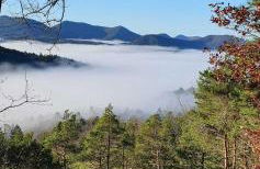 Ferienhaus Korn mitten im schönen Pfälzer Wald, Privat Haus - Foto 23