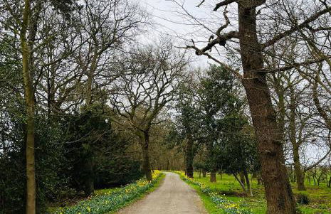 The Stables Apartment - Photo 16