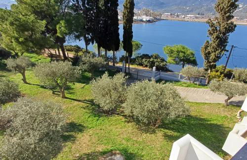 Skiathos Lagoterra Apartments - Foto 44