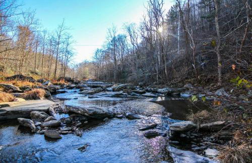 Draggin Fly - Foto 47