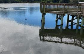 NICE PLACE Studio1 of 2 - Foto 37