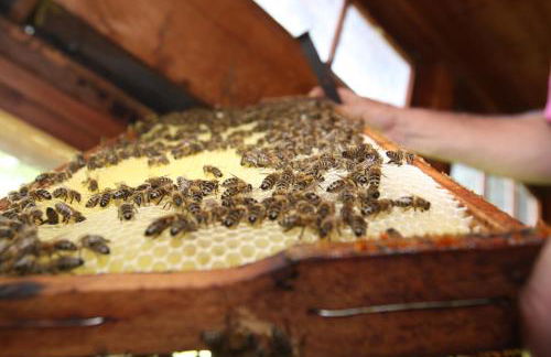 Beim Bicher - Photo 22