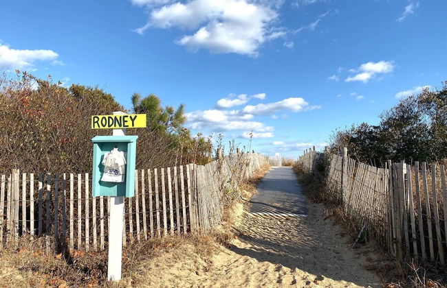 Rodney Avenue 3B - Photo 17