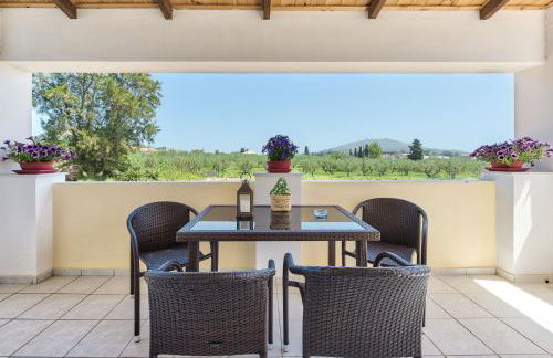 Aloisio's Estate - Foto 31