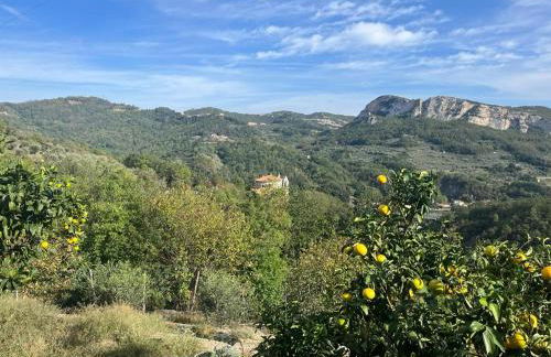 Sopra il Santuario - Foto 3