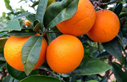 Blue Door Mallorca - Foto 20