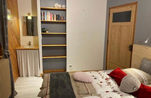 l'Echo des Glieres vue montagne centre village sauna & grill - Foto 20