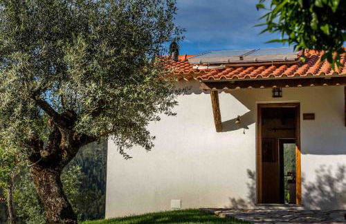 Reinado de Dom Dinis - Foto 69