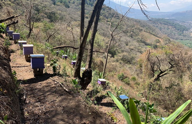 Finca El Tambor - Foto 46