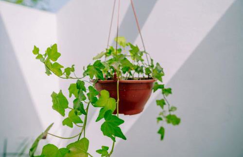 Casa Bolinho Ilha do Ferro - Foto 27