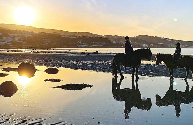 6 Person Holiday Home in Hamnvik - Foto 61