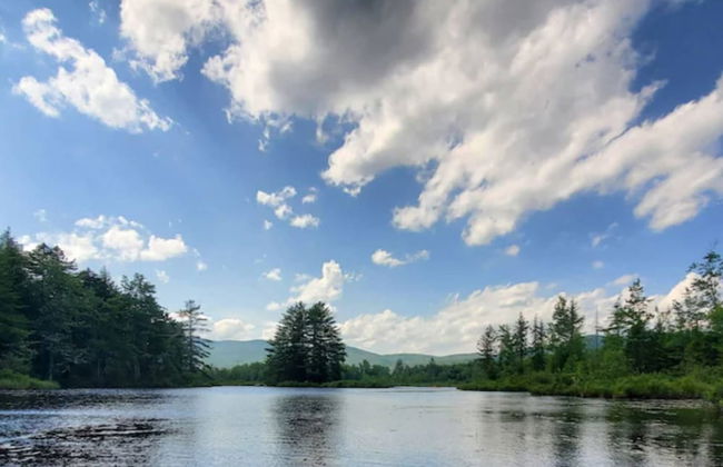 Cardinals Perch - Foto 28