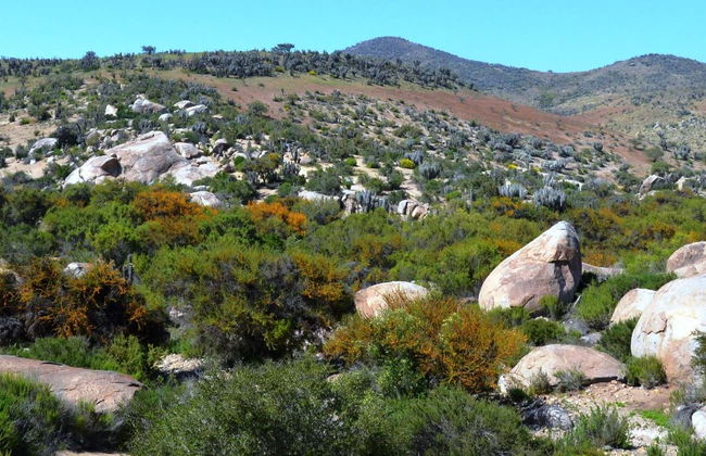 Valle del Encanto Tour - Photo 8