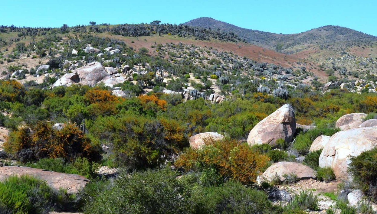 Tour por el Valle del Encanto - Foto 1, Tour por el Valle del Encanto