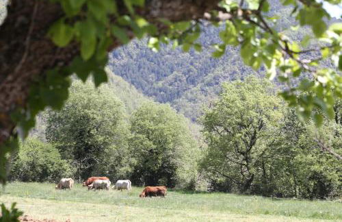 Casa Santafe CR-HU-1271 - Photo 40