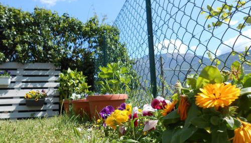 Apartment Casa Padronale nähe Arco by Interhome - Foto 2