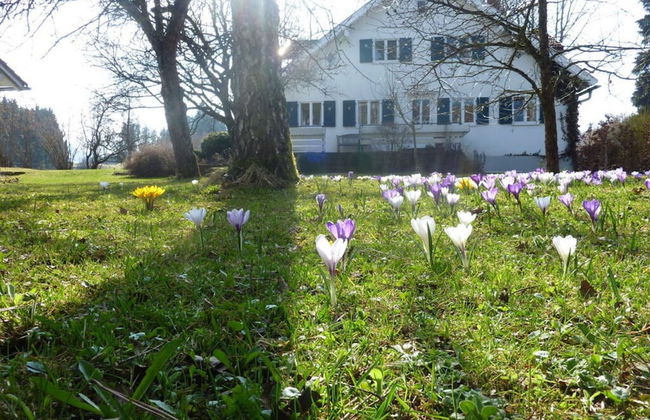 Apartment in Thuringia - Foto 27