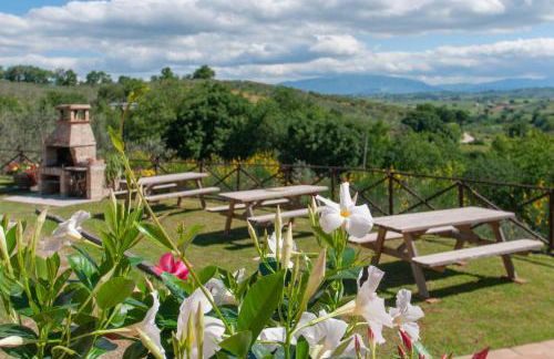 Agriturismo Molino Verde - Foto 6