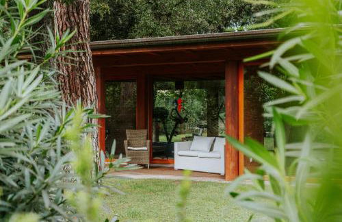 Il Delfinetto - Foto 6