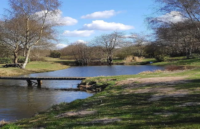 6 Person Holiday Home in Kibaek - Foto 16