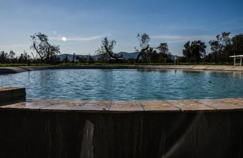 Casale Di Vulci - Foto 18