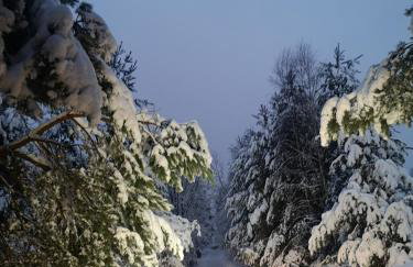 Domek pod lasem podlaskie - Foto 43
