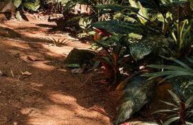 Casa na Vila de Abraão - Foto 7