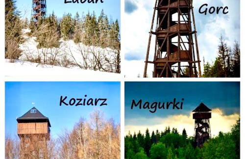 Willa Jagoda duży domek w górach 12-15 osób,jacuzzi, kominek,bilard - Foto 44