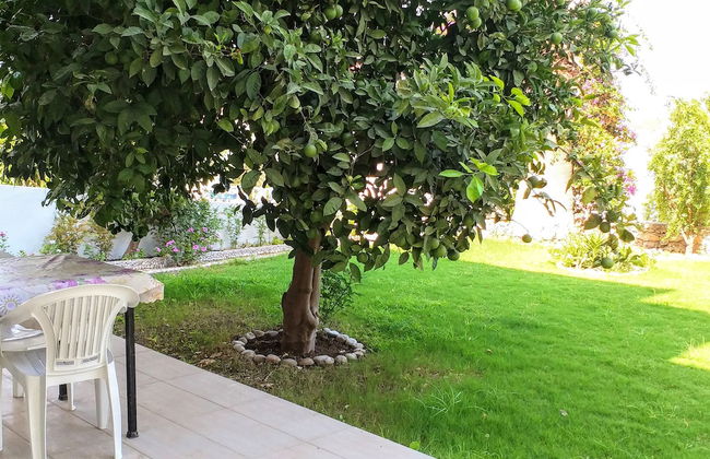 Ertem Apart - Photo 29