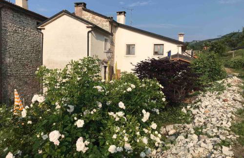 Casadelsale - Foto 24