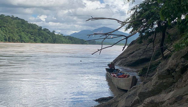 Shamanic Ayahuasca Ceremony - Foto 2