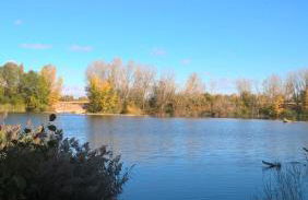 Casa Alfredo - Foto 39