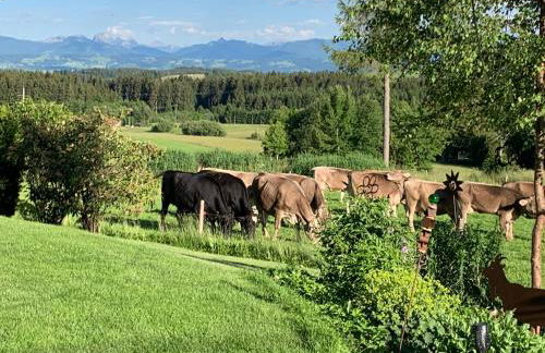Kuh Heimat - Bergblick - Terrasse - Photo 1