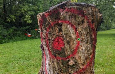 Bear Bluff- pet friendly home on the river! - Foto 14