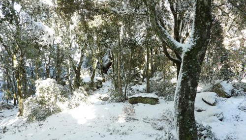 Rifugio Ortobene - Foto 2