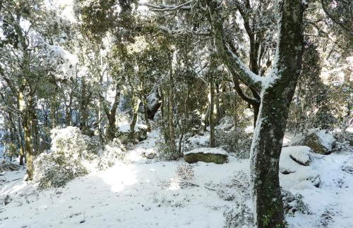 Rifugio Ortobene - Foto 2