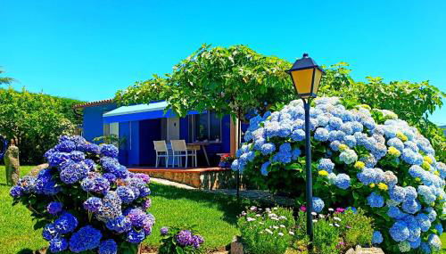 REMANSO AZUL - Foto 2, Garden, Garden view