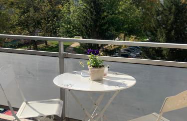 Bel Appartement near Bâle Mulhouse Airport - Foto 16