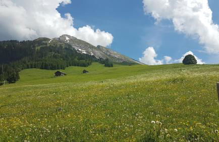 Chalet des joux - Foto 29