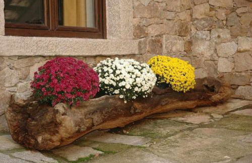 La Quinta Del Chocolatero - Photo 77