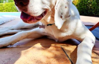 agriturismo contrada del raglio - Foto 20