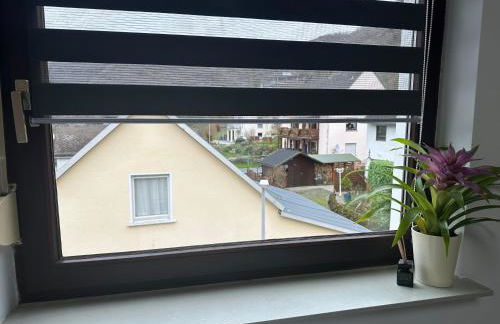 Blick auf den Rhein - Foto 52