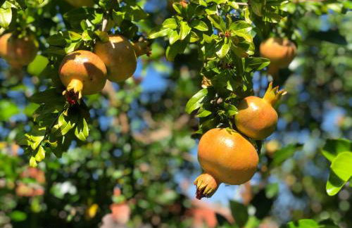 Elia & Meli Studio - Foto 19