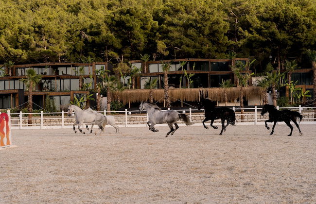 Asha Country - Foto 10