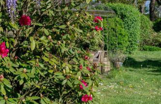Landhaus Amelia - Idylle pur mit Garten, Sauna & Kamin - Foto 45