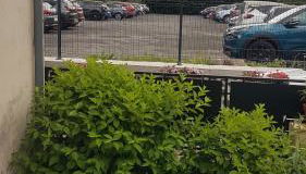 la maison des fleurs studio - Foto 5