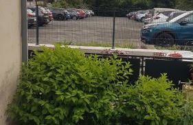 la maison des fleurs studio - Foto 5